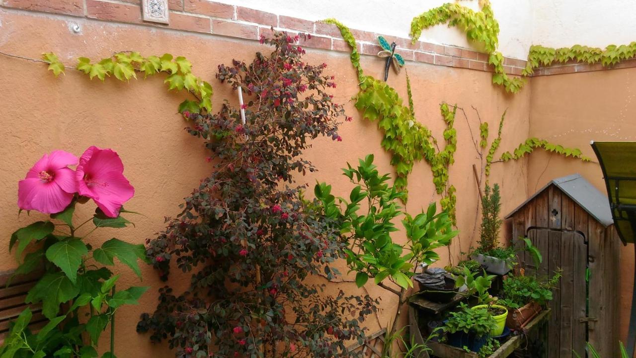 Autan Des Couleurs Bed & Breakfast Albi Eksteriør bilde